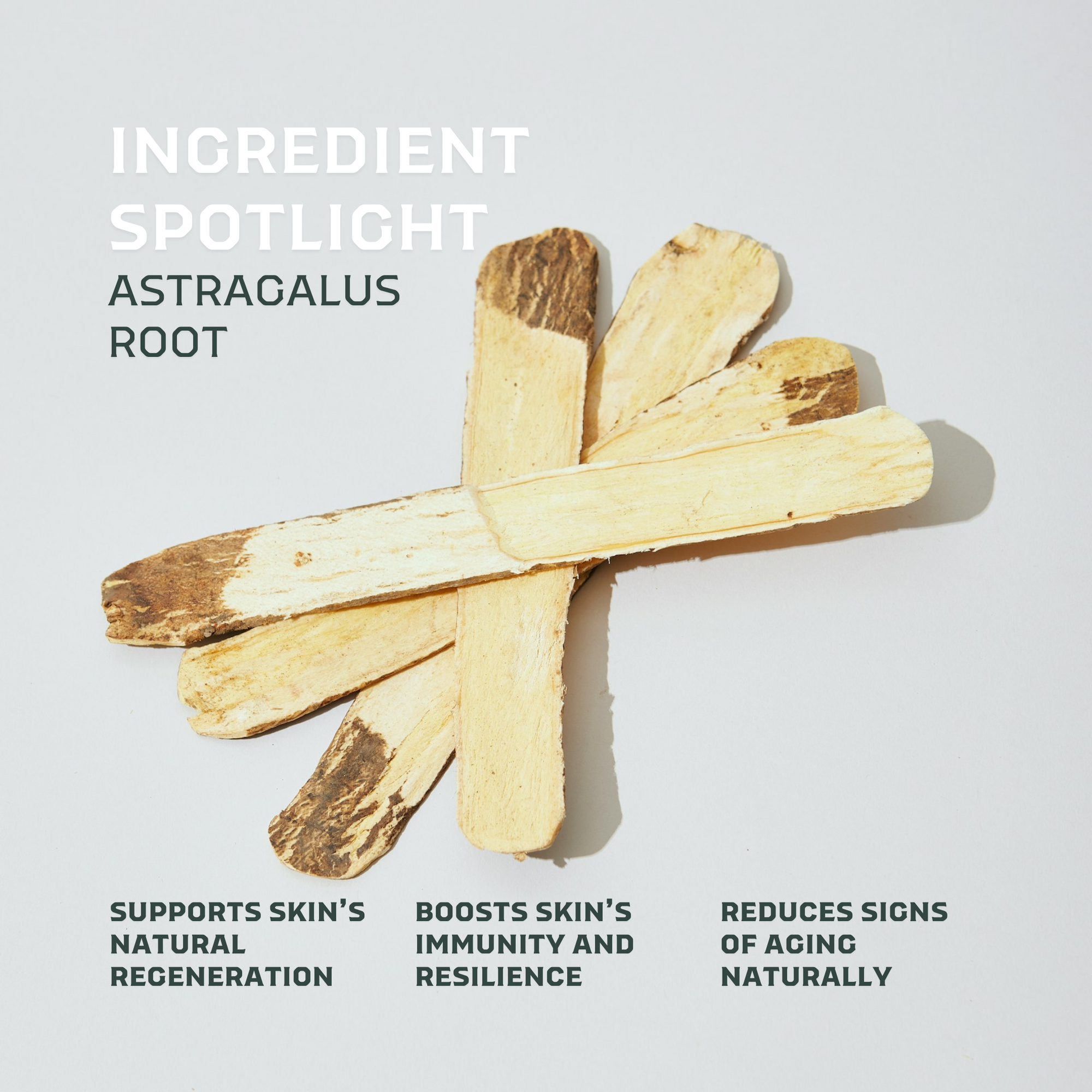 Pre-Order | Morning Serum