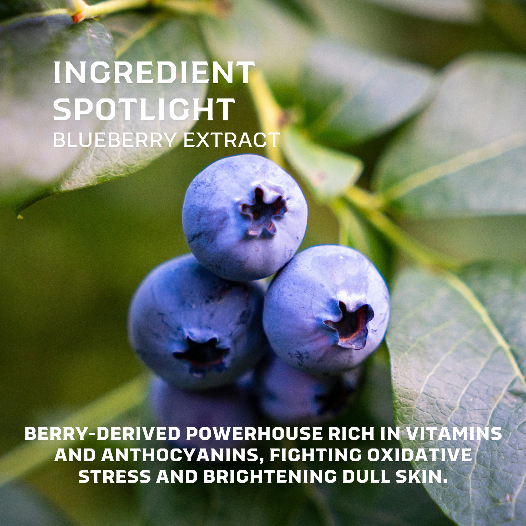 Refresh Hydration Mist