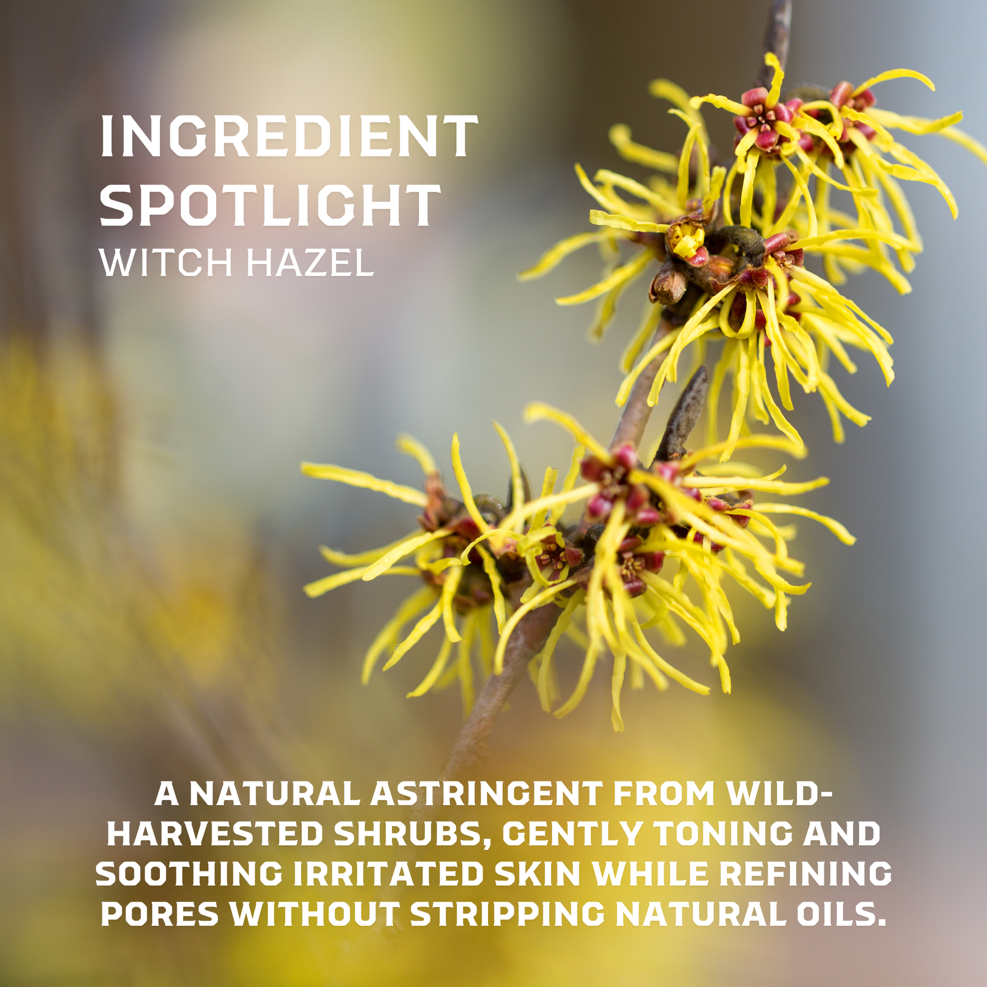 Refresh Hydration Mist