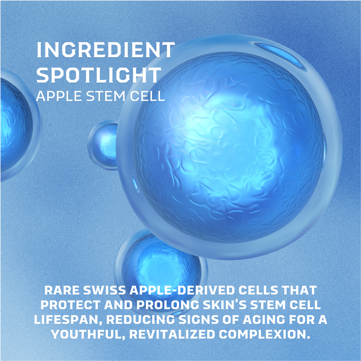 Refresh Hydration Mist