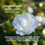 Purity Facial Cleanser