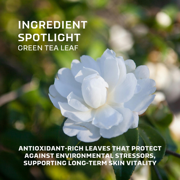 Purity Facial Cleanser